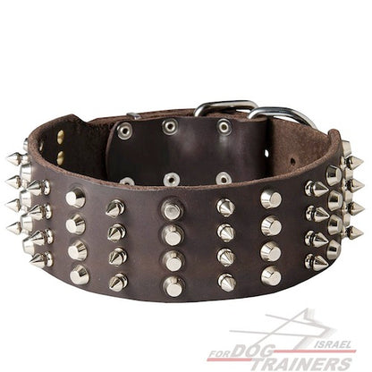 קולר לכלב מעור איכותי - מקושט ומסוגנן - FOR DOG TRAINERS- ISRAEL