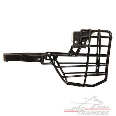 מחסום פה לכלב הטוב ביותר מכוסה בגומי - מתאים לחורף ולכל מזג אוויר - FOR DOG TRAINERS- ISRAEL