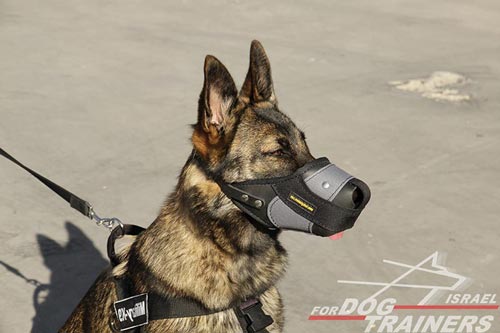 זמם לכלב לאימוני תקיפה / הגנה - FOR DOG TRAINERS- ISRAEL