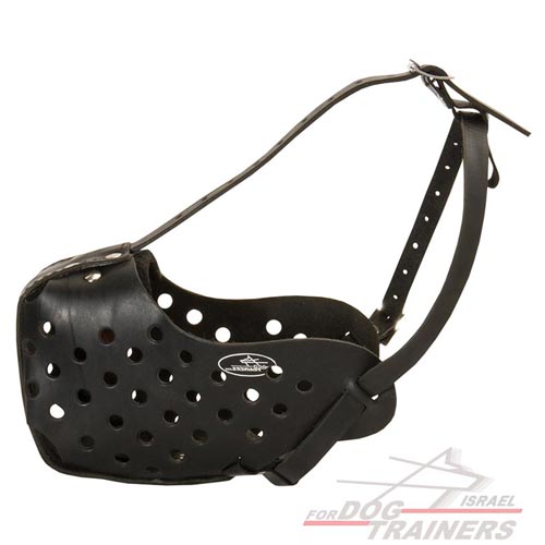 מחסום פה לכלב לאימוני תקיפה / הגנה - FOR DOG TRAINERS- ISRAEL