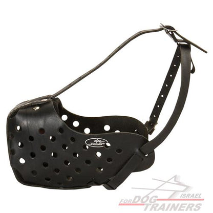 מחסום פה לכלב לאימוני תקיפה / הגנה - FOR DOG TRAINERS- ISRAEL